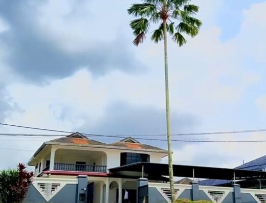 EHA Sunview ElderCare (Kempas) 新山温馨疗养别墅 #1 Nursing Home Johor Bahru