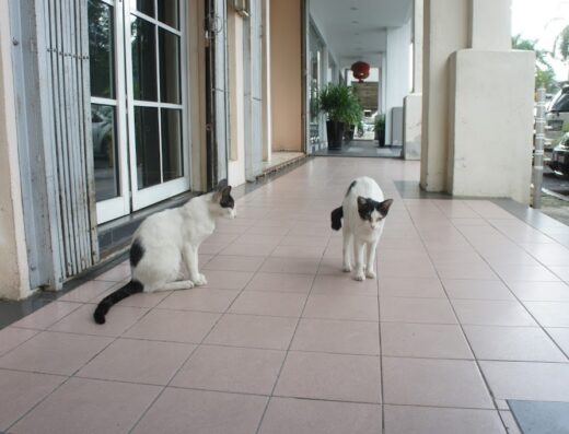 OroCare Sdn Bhd Nursing Home